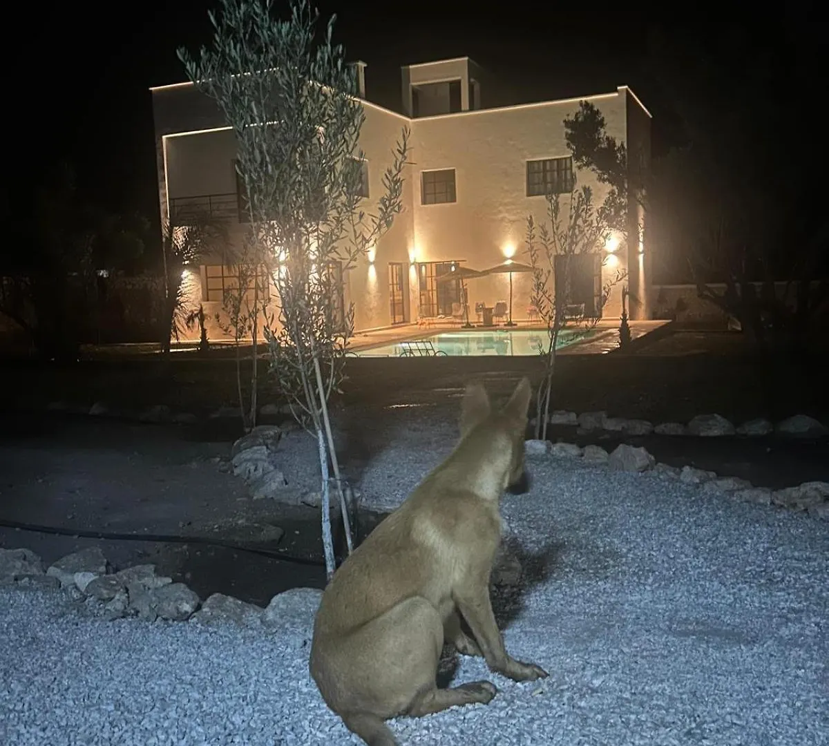 La Maison Blanche Kaouki- Beach 10 Min- Free Wifi - Beldi & Chic Sidi Kaouki 0*,